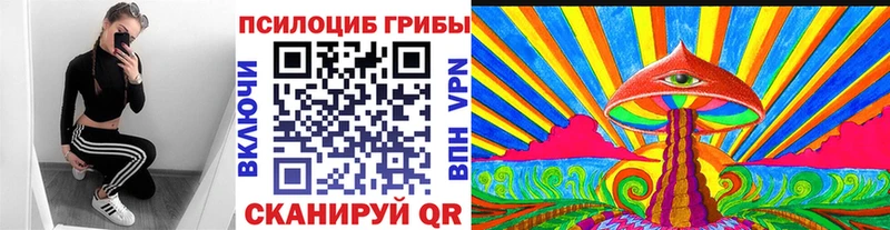 Галлюциногенные грибы Psilocybine cubensis Лаишево